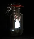 DAVY & KRISTIN MCGUIRE