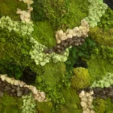 MARIE LAFOREY VERIDI SERIES